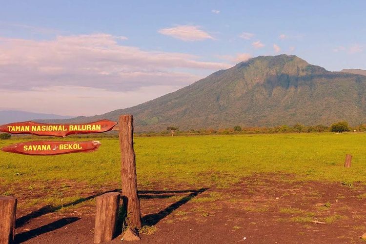 Paket Tour Baluran Banyuwangi