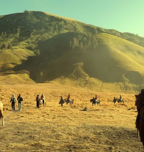 Open Trip Bromo Sunrise 1 Hari
