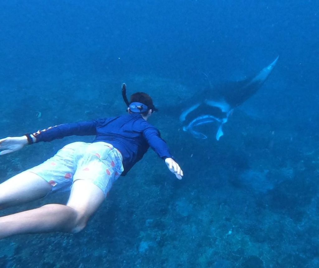 manta point labuan bajo
