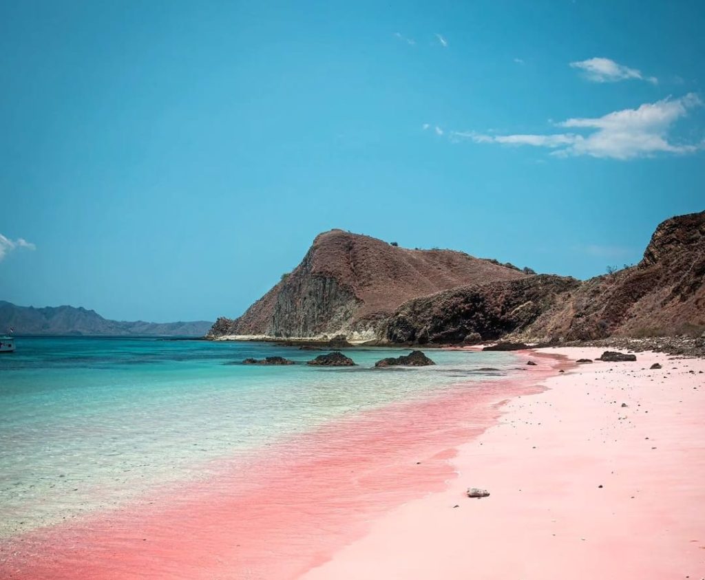 pink beach labuan bajo