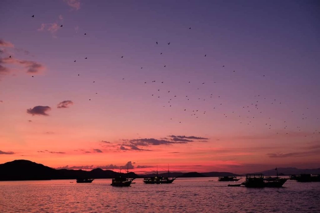 pulau kalong labuan bajo