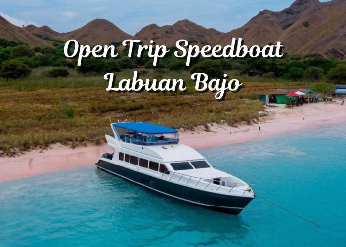 Open Trip Speedboat Labuan Bajo