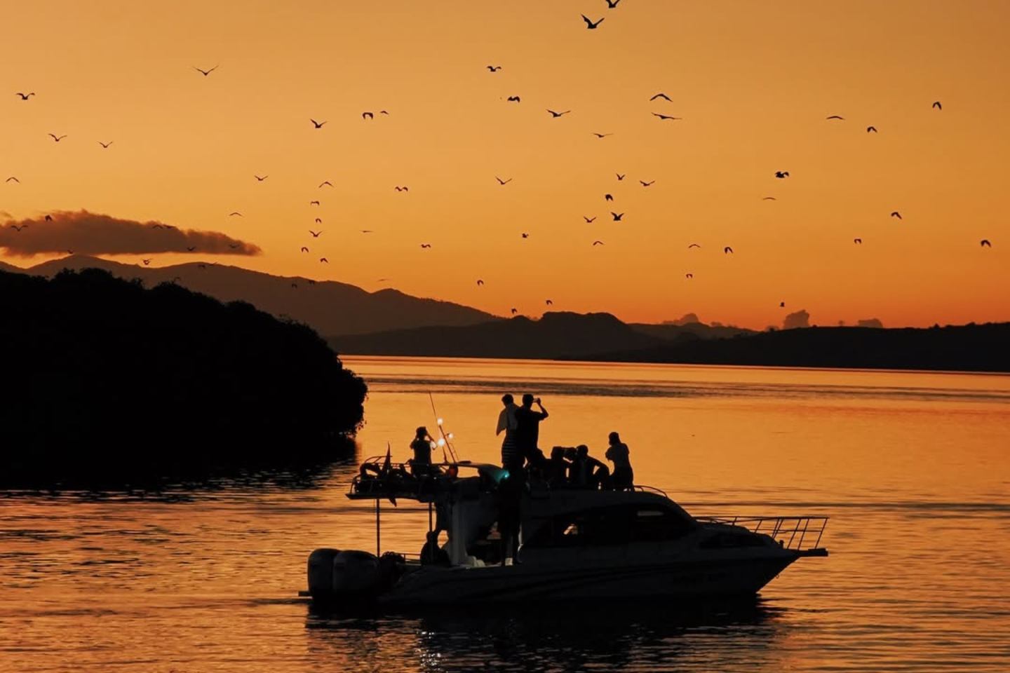 pulau kalong labuan bajo